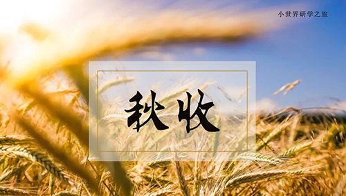稻田拾秋|小世界研学之旅